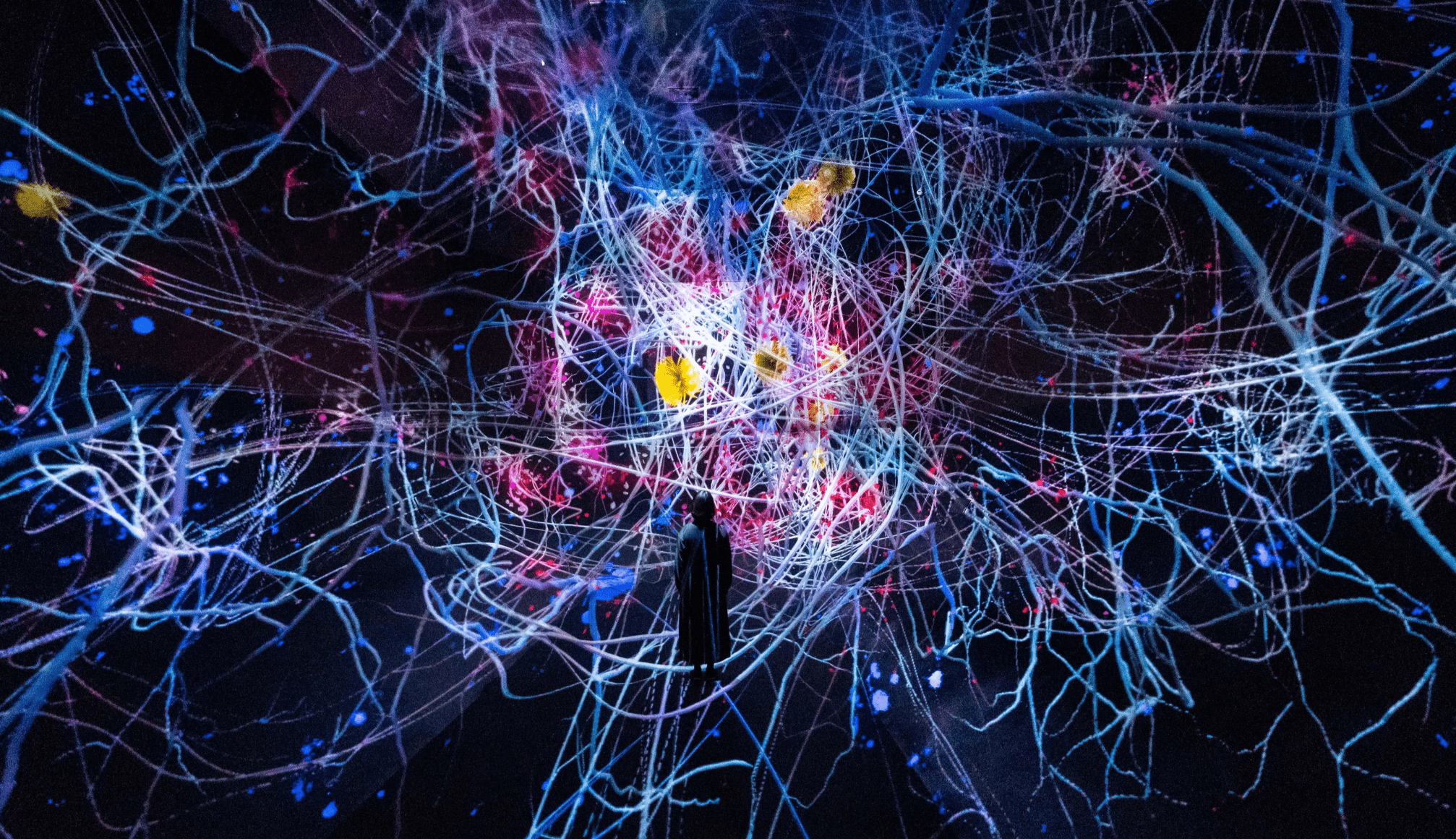 京都teamLab 2025｜4. 生命的痕跡